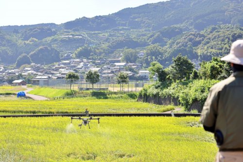 ドローンの農薬散布で個人が稼ぐ方法